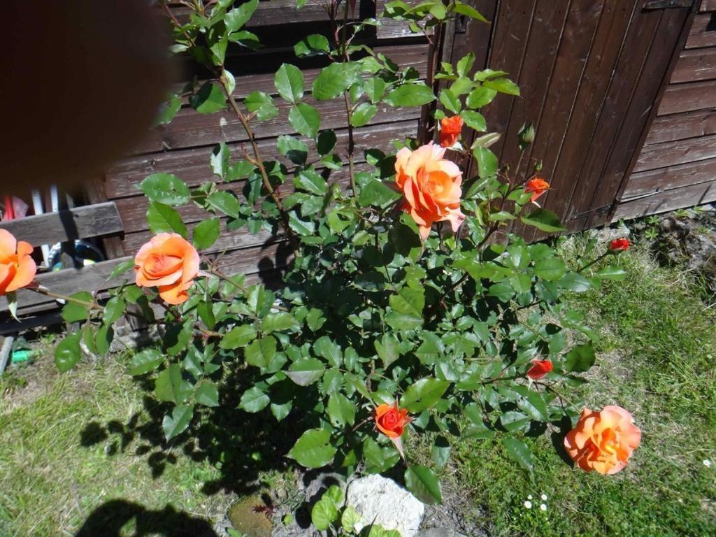 Chez Mamie Et Papi Bed & Breakfast Puynormand Exterior foto